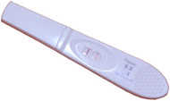 test-embarazo04.jpg