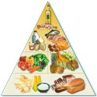 alimentos-solidos.jpg