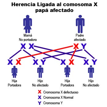 Los tratamientos del alcoholismo por las medicinas