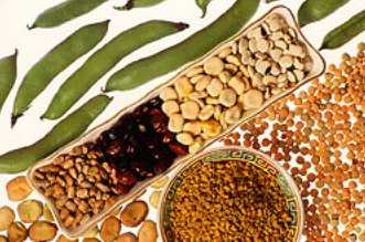 proteinas02a