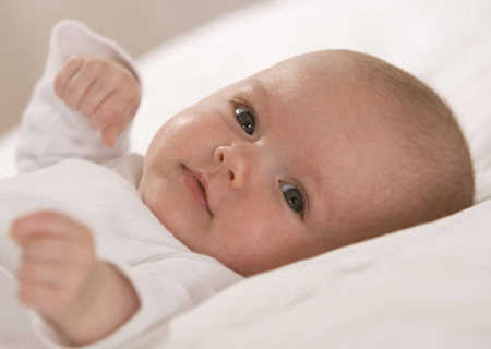 bebe